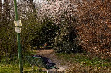 European park in summer with art 