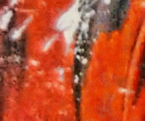 Designed grunge texture for creative ideas. Macro brushstrokes of oil. Abstract close up structure background. Colorful HD wallpaper. Simple graphic design template.