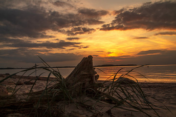 Sonnenuntergang am Naturstrand mit Treibholz am Strand
