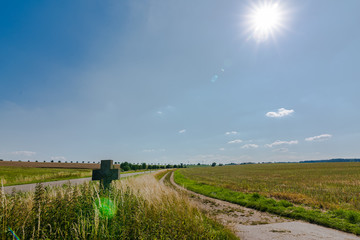 beautiful landscape in the nature. Trees fields and no people.