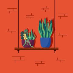 decorative house plants interior design