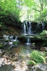 Naklejka premium 猿壺の滝