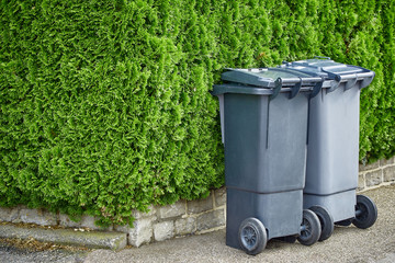 Plastic trash cans are standing on the pavement against a background of green bushes of a thuja on a sunny day. The concept of cleaning and cleanliness of the city