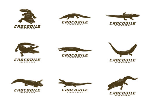 Vector logo crocodile. Brand logo in the shape of a crocodile