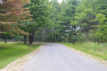 Road in the countryside
