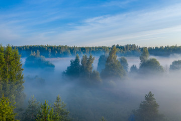 Aerial view of the forest, field and river covered with layers of thick morning fog