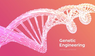 DNA sequence. Abstract 3d polygonal wireframe DNA molecules structure mesh. DNA code editable template. Science and Technology concept. 3d Low Poly Vector illustration.