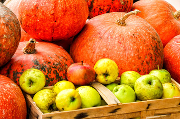 Kürbisse und Äpfel auf einem Markt im Herbst