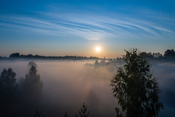 Obraz na płótnie Canvas Silhouettes of trees in the morning fog