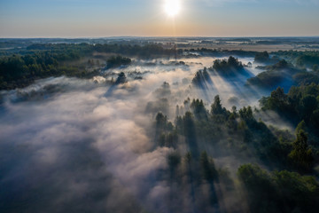 Naklejka na ściany i meble The rays of the morning sun make their way through the thick fog over the forest, field and river