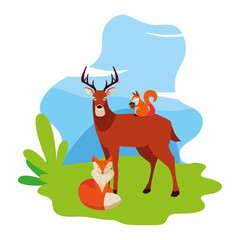 deer fox and squirrel happy autumn season