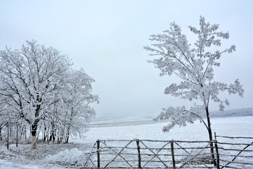 an old wooden fence on a field with trees in winter