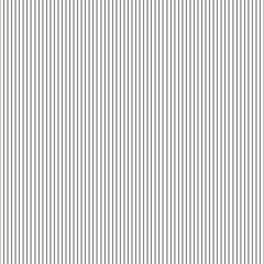 Seamless pattern with stripes. Abstract geometric wallpaper of the surface. Background for design in a vertical strip. Black and white colors