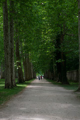 versailles gardens