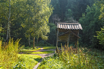 hut in the forest