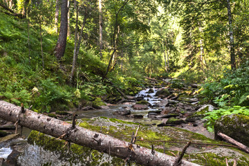 river in the mountains