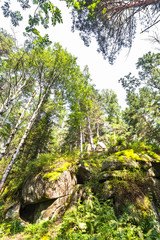 huge stones in the forest