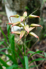 Obraz premium SENDERISMO