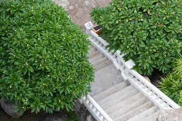 High view above, white concrete staircase with bushes.