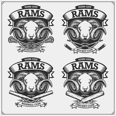 Cricket, baseball, lacrosse and hockey logos and labels. Sport club emblems with rams. Print design for t-shirt.
