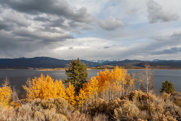 Aspen Stand in front of Lake Granby, Colorado