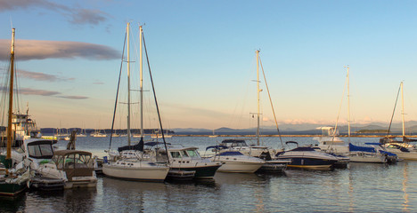 Fototapeta premium Sailboats docked in a marina
