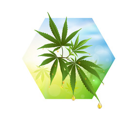 Cannabis or marijauna medical poster desing.