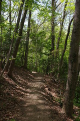 登山道