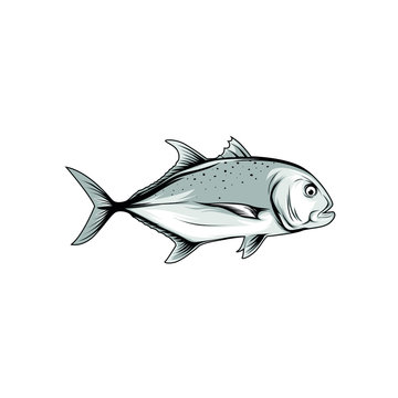 Vector of Giant Trevally on white background. Fish cartoon.