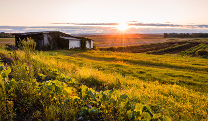 Warm summer sunset over a humble farm and shanty in the Black Dirt region of Pine Island, New York