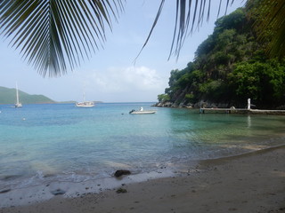 Sous les palmiers une mer paradisiaque