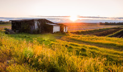 Warm summer sunset over a humble farm and shanty in the Black Dirt region of Pine Island, New York