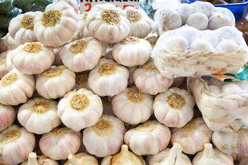 Fresh garlic bulbs stacked showing bulbs