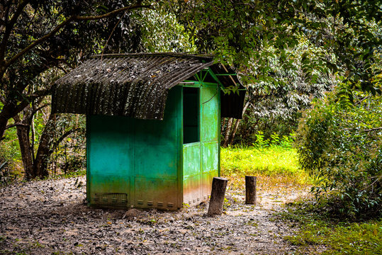 old house in the forest, village, green house, indigenous village, tapera