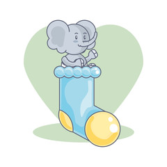 cute elephant baby animal and sock