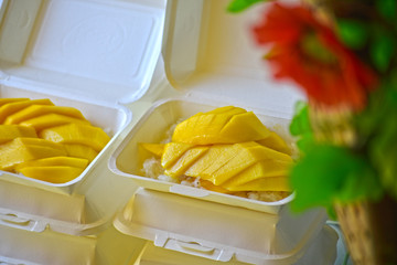  mango Is a delicious fruit that can be made into smoothies and snacks.