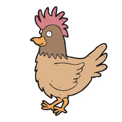 digitally drawn illustration live chicken design. hand drawing style