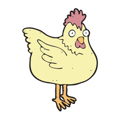 digitally drawn illustration live chicken design. hand drawing style