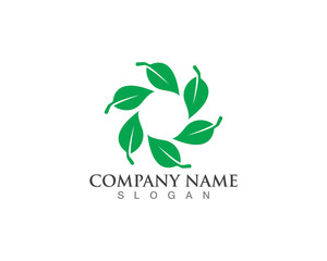 Vector leaves green nature logo and symbol