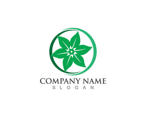 Vector leaves green nature logo and symbol