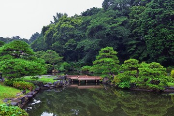 Traditional Japanese gardens in public parks in Tokyo, Japan. Views of stone lanterns, lakes, ponds, bonsai and wildlife walking around paths and trails. Asia. 