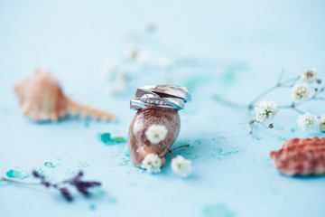 beautiful macro shot of golden wedding ring with sea shell and little flowers on colored background