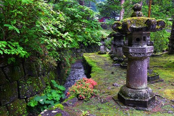 Traditional Japanese gardens in public parks in Tokyo, Japan. Views of stone lanterns, lakes, ponds, bonsai and wildlife walking around paths and trails. Asia. 