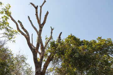 Paleontological site Chiniquá, São Pedro do Sul, RS, Brazil 07