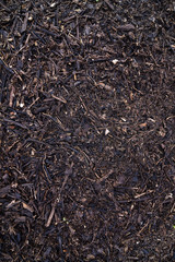 Fototapeta premium texture background