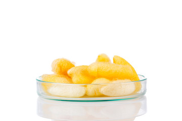 Beautiful yellow color Cocoons in glass plate