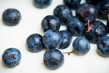 Freshly harvested wild blueberries. Selective focus. Shallow depth of field. 