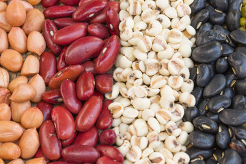 Different kinds of bean seeds	
