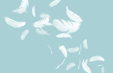 abstract, white feathers floating in the air, blue pastel background.