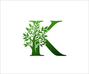 Fototapeta na wymiar K Logo Letter Created From Tree Branches and Leaves. Tree Letter Design with Ecology Concept..